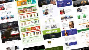 Website & Ecommerce Solutions